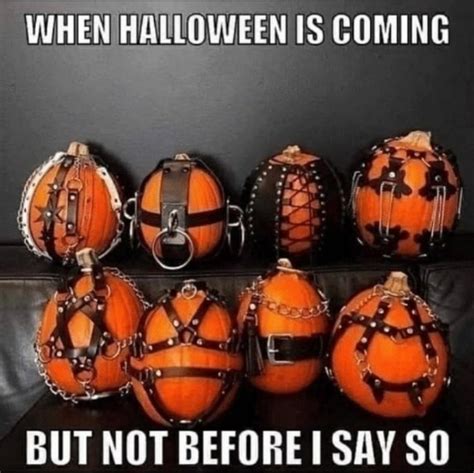 kinky halloween memes|17 Horny Memes For When You Cant Fight The Urge